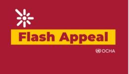 Flash Appeal 2024