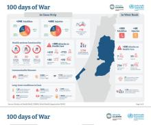 100 days of War – Health Cluster