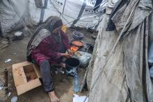 Since October 2023, hundreds of thousands of Palestinians have been displaced from their homes.