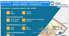 PSE_Gaza_injuries_MoH_2018_08_13_v2