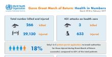 Gaza Great March of Return: Health in Numbers