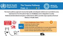 saras-playground-trauma-pathway-4.pdf
