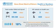 Gaza Great March of Return: Health in Numbers, March 2018 - February 2019 