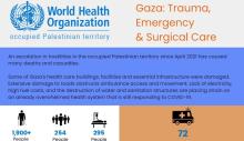 Copy of Rapid Assessment Infographic