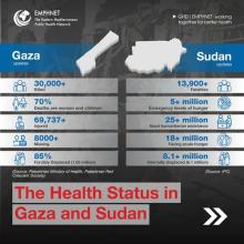  The Health Status in Gaza and Sudan