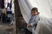 WHO A large proportion of people who are internally displaced in Gaza are staying in UNRWA shelters in the south, November 2023
