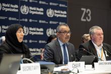 executive board special session on oPT