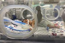 One of the babies in Al Shifa neonatal intensive care unit, taken on 21 October.